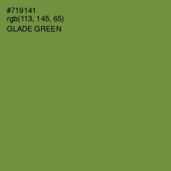 #719141 - Glade Green Color Image