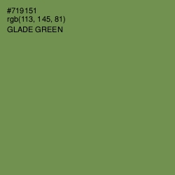 #719151 - Glade Green Color Image