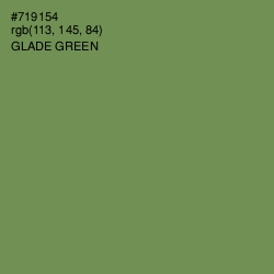 #719154 - Glade Green Color Image