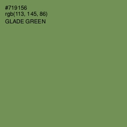 #719156 - Glade Green Color Image