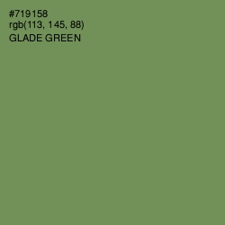 #719158 - Glade Green Color Image