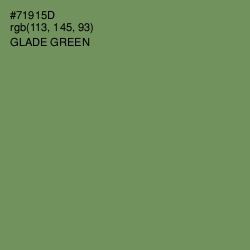 #71915D - Glade Green Color Image