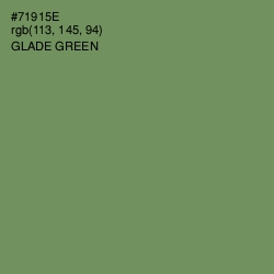 #71915E - Glade Green Color Image