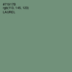 #71917B - Laurel Color Image