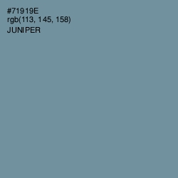 #71919E - Juniper Color Image