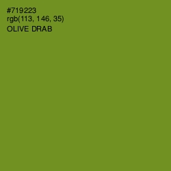 #719223 - Olive Drab Color Image