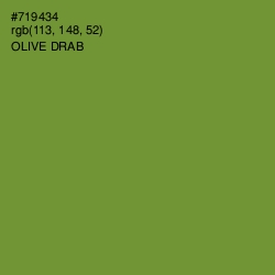 #719434 - Olive Drab Color Image