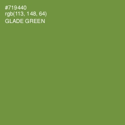 #719440 - Glade Green Color Image