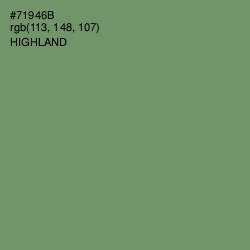 #71946B - Highland Color Image