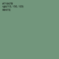 #71967B - Laurel Color Image
