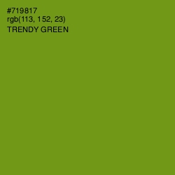 #719817 - Trendy Green Color Image