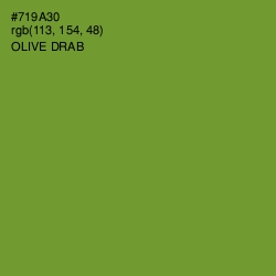 #719A30 - Olive Drab Color Image