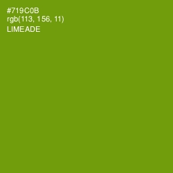 #719C0B - Limeade Color Image