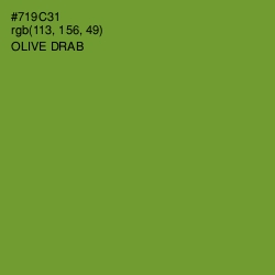 #719C31 - Olive Drab Color Image