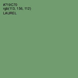 #719C70 - Laurel Color Image