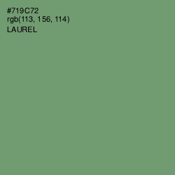 #719C72 - Laurel Color Image