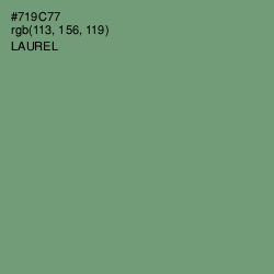 #719C77 - Laurel Color Image