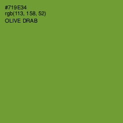 #719E34 - Olive Drab Color Image