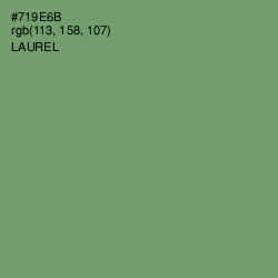 #719E6B - Laurel Color Image