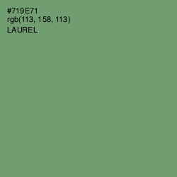 #719E71 - Laurel Color Image