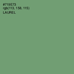#719E73 - Laurel Color Image