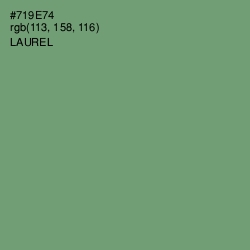 #719E74 - Laurel Color Image