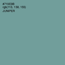 #719E9B - Juniper Color Image