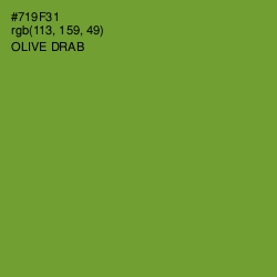 #719F31 - Olive Drab Color Image