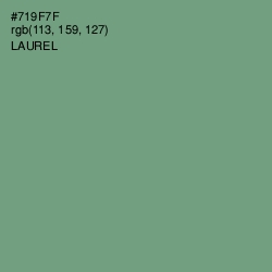 #719F7F - Laurel Color Image