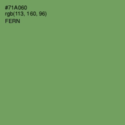 #71A060 - Fern Color Image