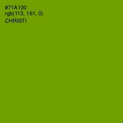 #71A100 - Christi Color Image