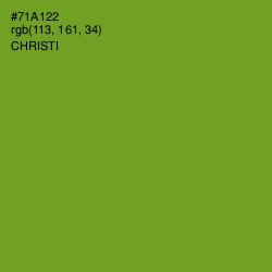 #71A122 - Christi Color Image