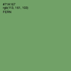 #71A167 - Fern Color Image