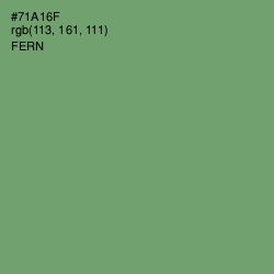 #71A16F - Fern Color Image