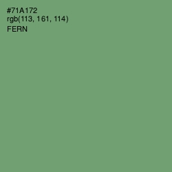 #71A172 - Fern Color Image