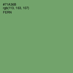 #71A36B - Fern Color Image