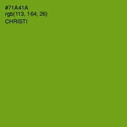 #71A41A - Christi Color Image