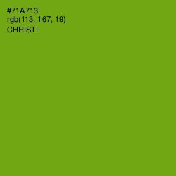 #71A713 - Christi Color Image