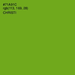 #71A91C - Christi Color Image