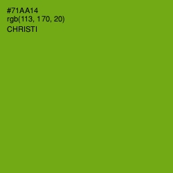 #71AA14 - Christi Color Image
