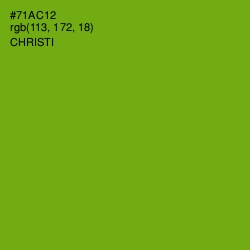 #71AC12 - Christi Color Image