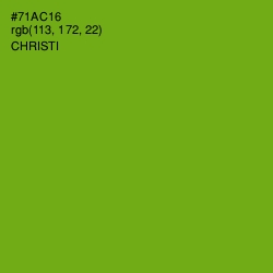 #71AC16 - Christi Color Image