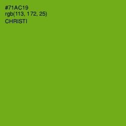 #71AC19 - Christi Color Image