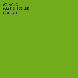 #71AC1C - Christi Color Image