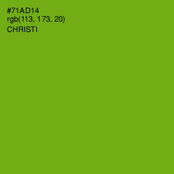 #71AD14 - Christi Color Image