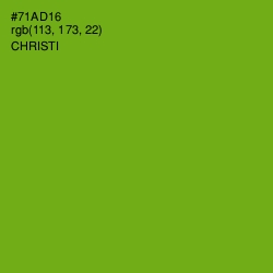 #71AD16 - Christi Color Image