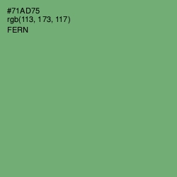 #71AD75 - Fern Color Image