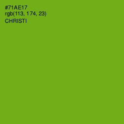 #71AE17 - Christi Color Image
