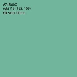 #71B69C - Silver Tree Color Image