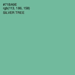 #71BA9E - Silver Tree Color Image